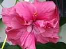 20130807_113820