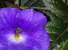 20130807_114951
