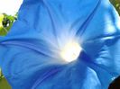 20130807_115120