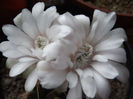 DSCF1082