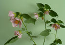 P1460940