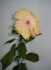 DSC08324
