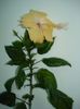 DSC08327
