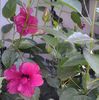 20130808_094003