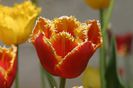 IMG_1271