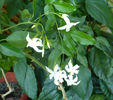 P1470159