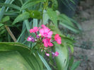DSCF2495