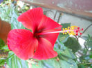 DSCN4882