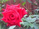 DSC00317