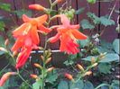 DSC00318