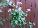 DSC00327
