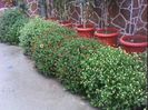 DSC00338