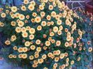 DSC00340