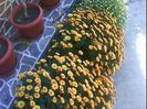 DSC00341