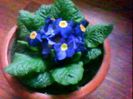 DSC00356