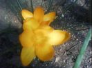 DSC00370
