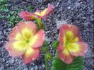 DSC00376