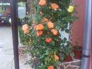 DSC00380