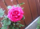 DSC00382