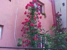 DSC00385
