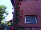 DSC00386