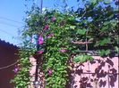 DSC00476