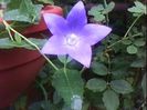 DSC00511