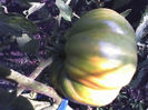 09-08-13_0809