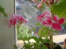 DSC01080