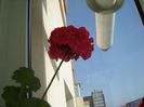DSC01081