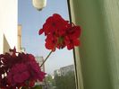 DSC01082