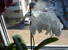 DSC00487