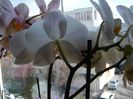 DSC00491
