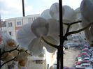 DSC00492
