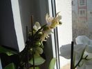 DSC00494