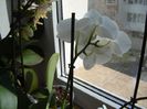 DSC00495