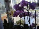 DSC00496