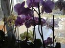 DSC00497