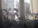 DSC00503