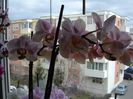 DSC00505