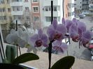 DSC00506