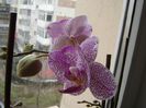 DSC00520