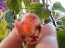 DSCF0128