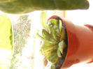 DSCF0143