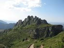 IMG_2554