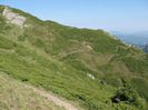 IMG_2557