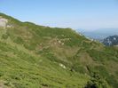 IMG_2559