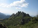 IMG_2560