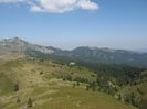 IMG_2646