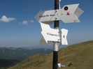 IMG_2654